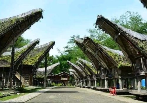 IMG-20241119-WA0039